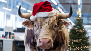 Daten­schutz Und Weih­nach­ten&Nbsp;2024